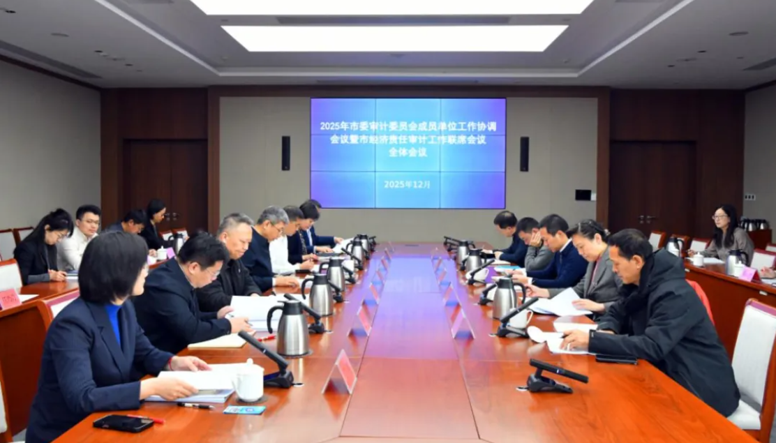 北京市召开2025年市委审计委员会成员单位工作协调会议暨市经济责任审计工作联席会议全体会议